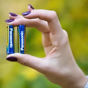 Батарейка Panasonic EVOLTA лужна AA (блістер 2 шт) в Сваляві