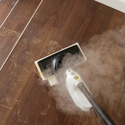 Пароочисник Karcher SC 1 Multi & Up (1.516-410.0) (UA)