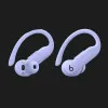 Наушники Beats by Dr. Dre PowerBeats Pro 2 (Hyper Purple)