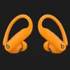 Наушники Beats by Dr. Dre PowerBeats Pro 2 (Electric Orange)