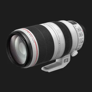 Длиннофокусный объектив Canon EF 100-400mm f/4.5-5.6 L II IS USM (9524B005) (Standard)