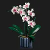 Конструктор LEGO Botanicals Orchid (10311)