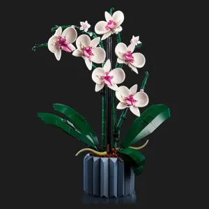 Конструктор LEGO Botanicals Орхідея (10311)