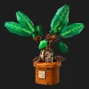 Конструктор LEGO Harry Potter Mandrake (76433)