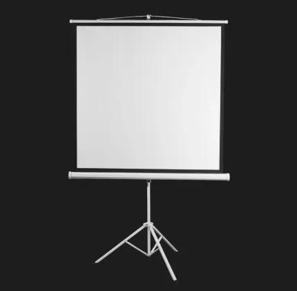 Экран на треноге 2E 135" 1:1 240x240cм MW (UA)