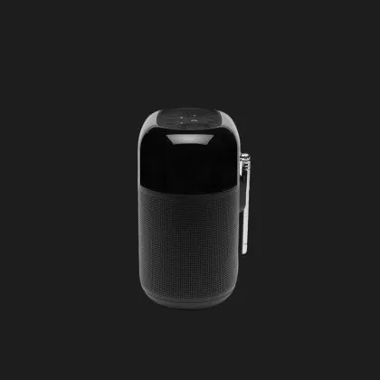 Портативная акустика JBL Tuner XL (Black) в Чернигове