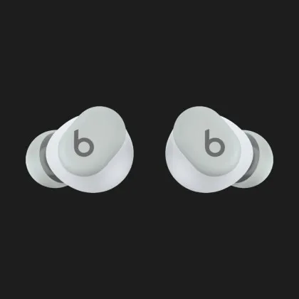 Наушники Beats Solo Buds (Storm Gray) в Ковеле