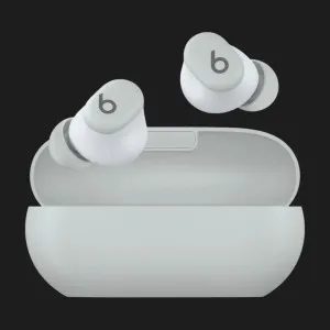 Наушники Beats Solo Buds (Storm Gray) в Александрии