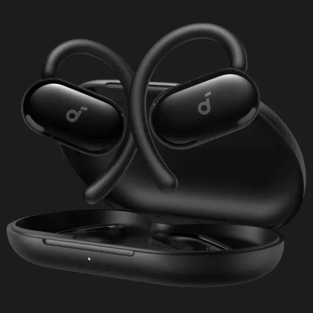 Навушники ANKER SoundСore V20i (Black)