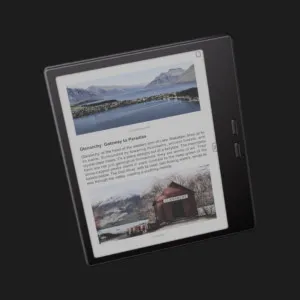 Электронная книга Onyx Boox Go Color 7 (2nd Gen) (Black) (Standard) в Дрогобыче