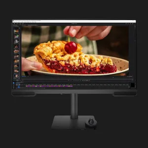 Монитор BenQ 31.5" PV3200U IPS 60Hz 9H.Y01LA.TBE (UA) в Александрии