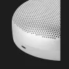 Акустика Bang / Olufsen Beosound A1 2nd. Gen. (Gray Mist)