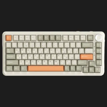 Клавіатура ігрова Ajazz AK820 MAX Flying Fish Switch (Retro) (AK820MAX-FF-R) (UA)