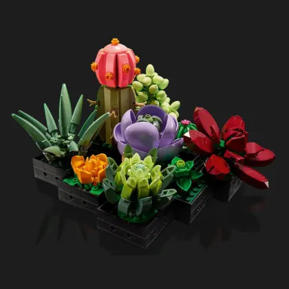 Конструктор LEGO Botanicals Сукуленти (10309)