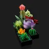 Конструктор LEGO Botanicals Сукуленти (10309)