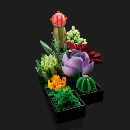 Конструктор LEGO Botanicals Сукуленти (10309)