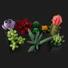 Конструктор LEGO Botanicals Сукуленти (10309)