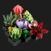 Конструктор LEGO Botanicals Сукуленти (10309)