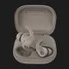 Наушники Beats by Dr. Dre Powerbeats Fit (Gravel Gray)