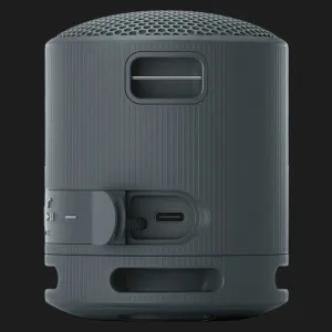 Портативна акустика Sony SRS-XB100 (Black) в Дрогобичі
