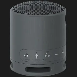 Портативна акустика Sony SRS-XB100 (Black) в Дрогобичі