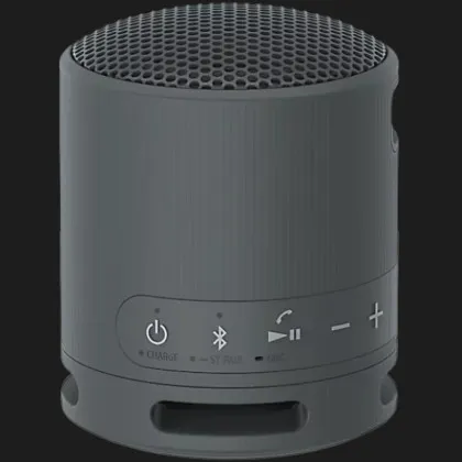 Портативная акустика Sony SRS-XB100 (Black)
