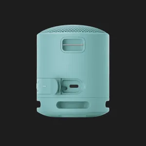 Портативная акустика Sony SRS-XB100 (Blue) в Борисполе
