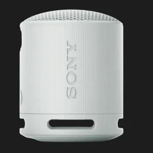 Портативная акустика Sony SRS-XB100 (Gray) в Борисполе