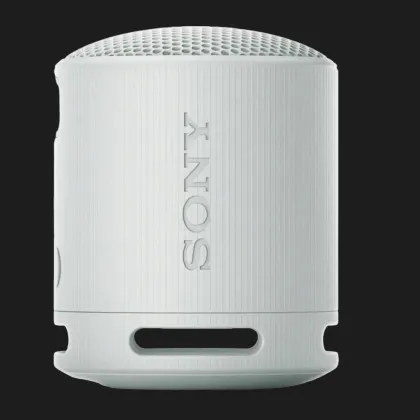 Портативная акустика Sony SRS-XB100 (Gray)
