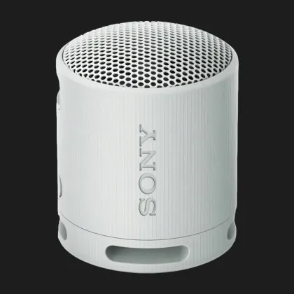 Портативная акустика Sony SRS-XB100 (Gray)
