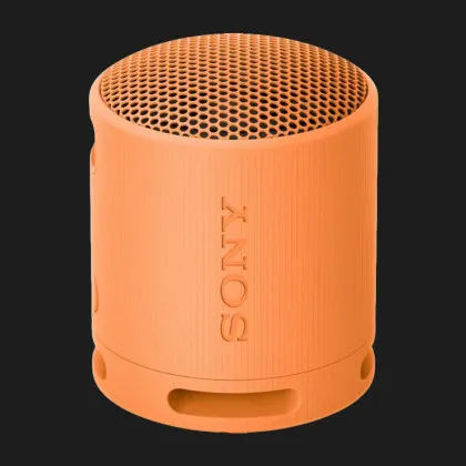 Портативная акустика Sony SRS-XB100 (Orange)