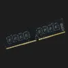 Оперативная память Team Elite DDR4 4GB 1x4GB 2400MHz (TED44G2400C1601)