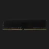 Оперативная память Patriot Signature Line DDR4 16GB 1x16GB 3200MHz (PSD416G32002)