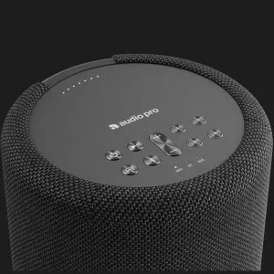 Акустическая система Audio Pro A10 MkII (Black) в Бродах