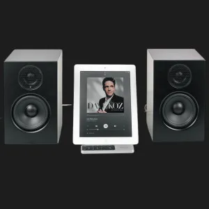 Акустическая система Audio Pro A28 (Black) в Бродах