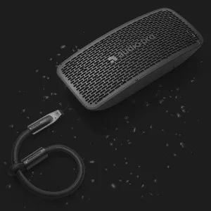 Акустическая система Audio Pro P5 (Black) в Бродах