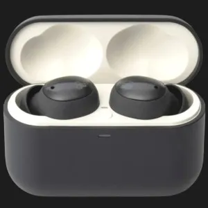 Навушники Final Audio ZE500 for ASMR (Dark Gray) в Олександрії