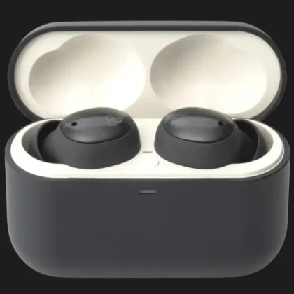 Наушники Final Audio ZE500 for ASMR (Dark Gray)