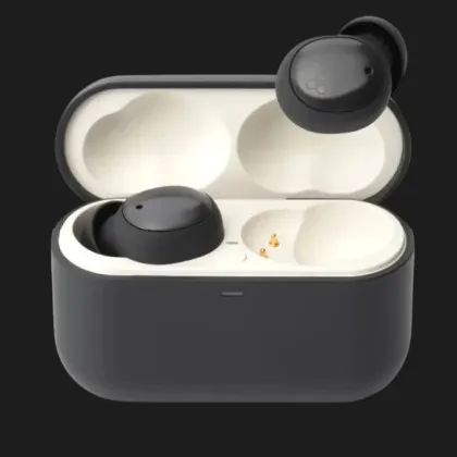 Наушники Final Audio ZE500 for ASMR (Dark Gray) в Самборе