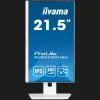 Монитор iiyama 21.5" IPS 100Hz XUB2292HSU-W6 (UA)