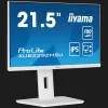 Монитор iiyama 21.5" IPS 100Hz XUB2292HSU-W6 (UA)