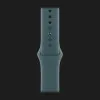б/у Apple Watch Series 10 46mm Silver Aluminum Case with Lake Green Sport Band - M/L