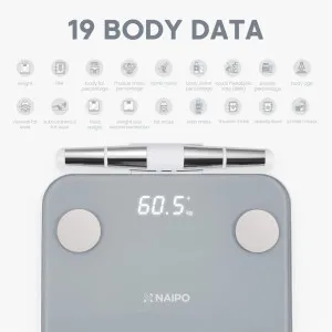 Ваги Naipo (Gray) (NP-BS03)