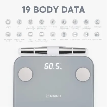 Ваги Naipo (Gray) (NP-BS03) Кременчуці