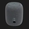 Акустика JBL Link Music (Gray) (JBLLINKMUSICGRYEU)