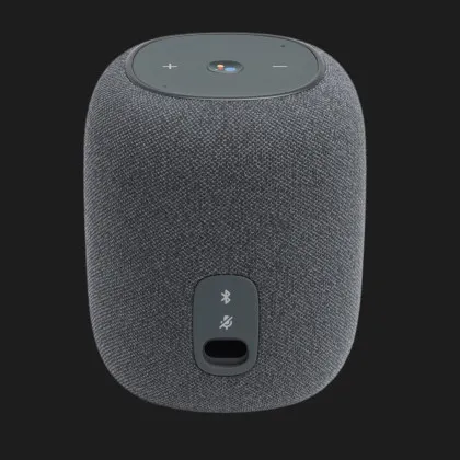 Акустика JBL Link Music (Gray) (JBLLINKMUSICGRYEU) в Чернигове