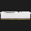 Оперативна памʼять Kingston Fury Beast DDR5 32GB 2x16GB 6400MHz (KF564C32BWEK2-32)
