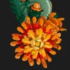 Конструктор LEGO Botanicals Хризантема (10368)