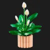 Конструктор LEGO Botanicals Спатифілум (11504)