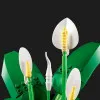 Конструктор LEGO Botanicals Спатифілум (11504)